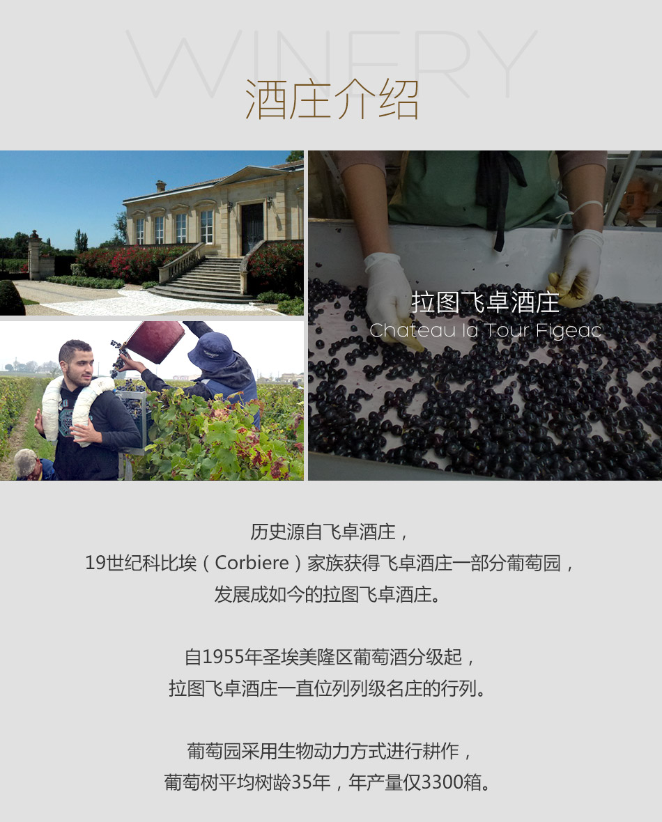 2012年拉图飞卓酒庄红葡萄酒