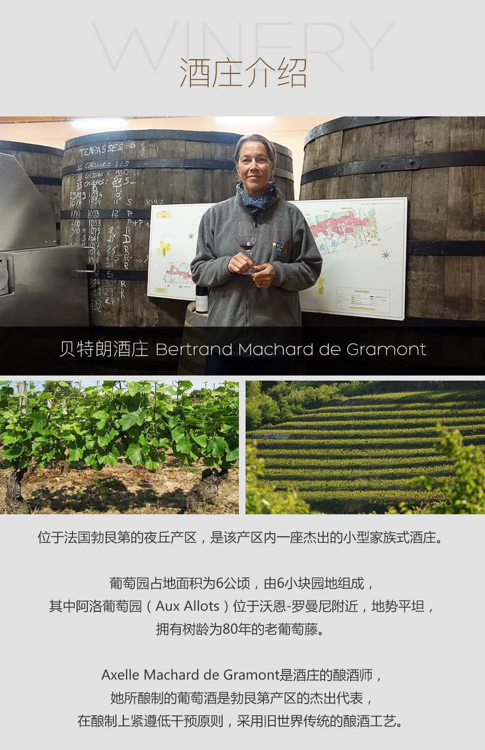 2013年贝特朗酒庄(沃恩-罗曼尼村)红葡萄酒|2013 bertrand machard de