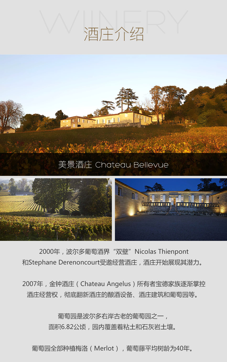 2007年美景酒庄红葡萄酒|2007 chateau bellevue|价格多少钱在哪买